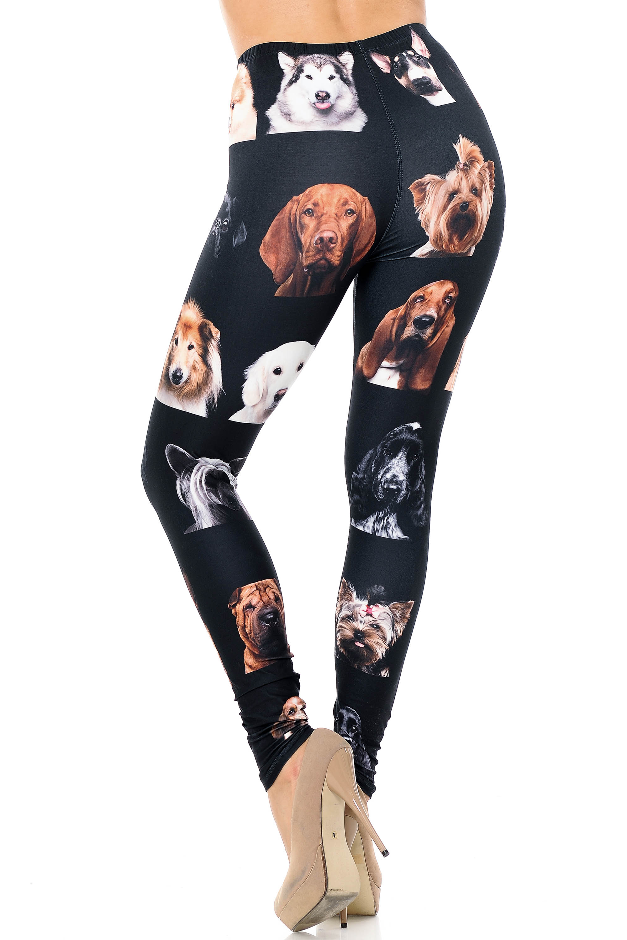 Creamy Soft Cute Puppy Dog Faces Extra Plus Size Leggings - 3X-5X - Version 2 - USA Fashion (XPlus One Size,Black)