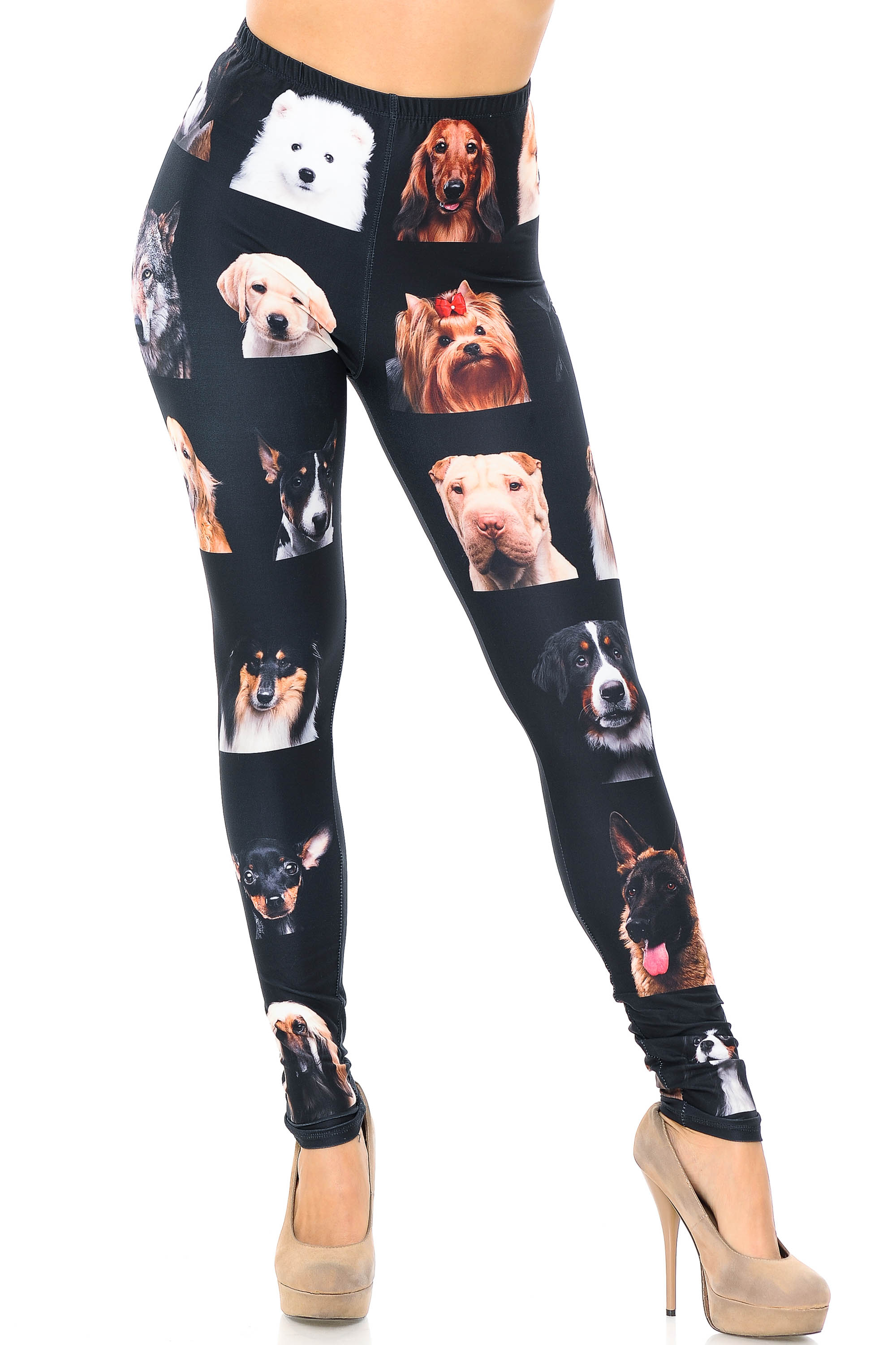 Creamy Soft Cute Puppy Dog Faces Extra Plus Size Leggings - 3X-5X - Version 2 - USA Fashion (XPlus One Size,Black)