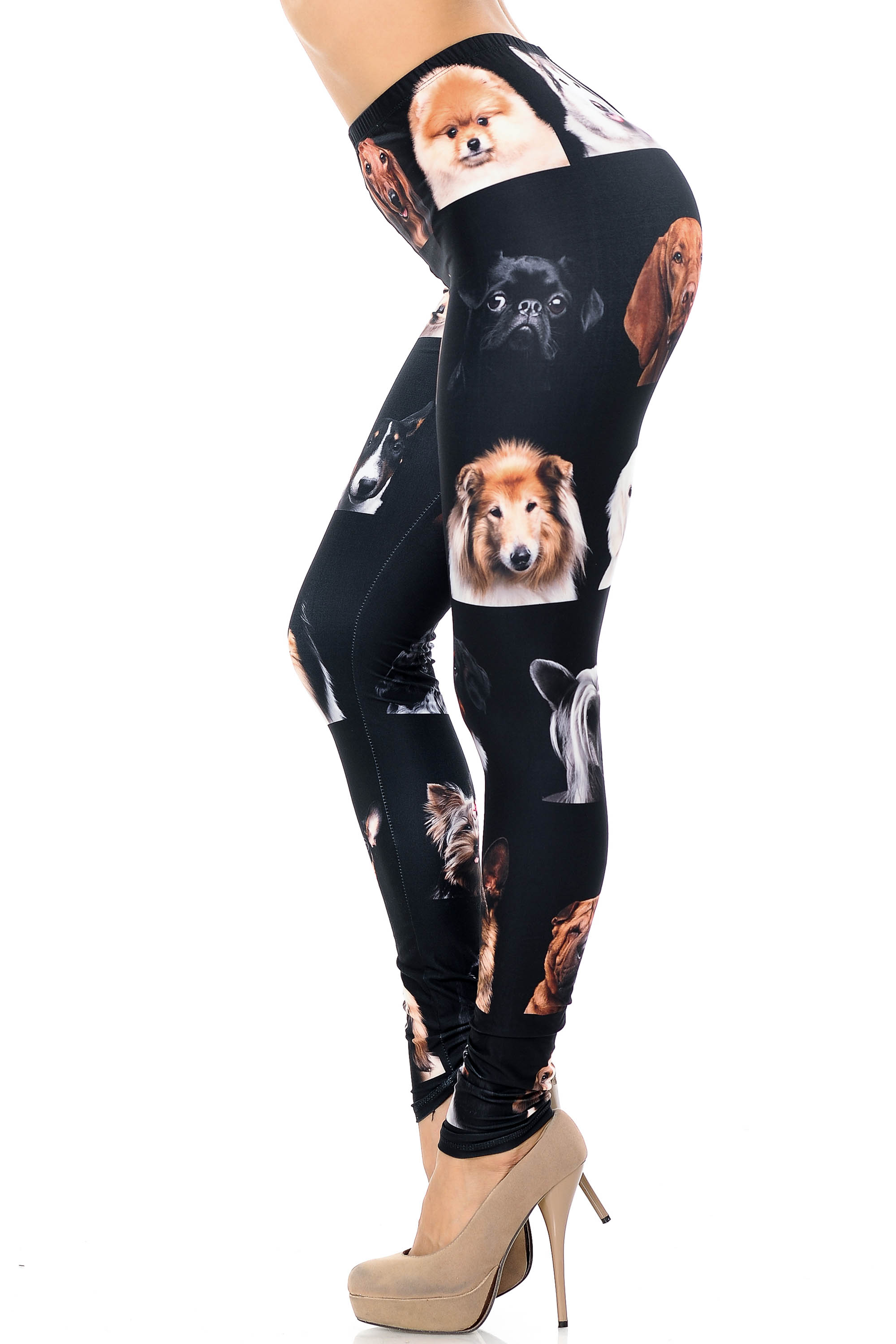 Creamy Soft Cute Puppy Dog Faces Extra Plus Size Leggings - 3X-5X - Version 2 - USA Fashion (XPlus One Size,Black)