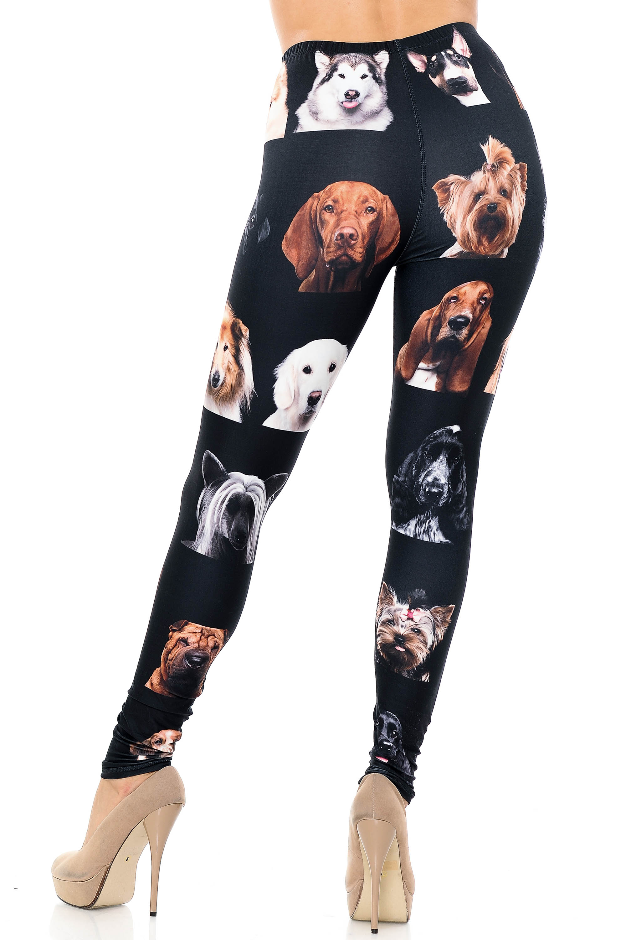 Creamy Soft Cute Puppy Dog Faces Extra Plus Size Leggings - 3X-5X - Version 2 - USA Fashion (XPlus One Size,Black)