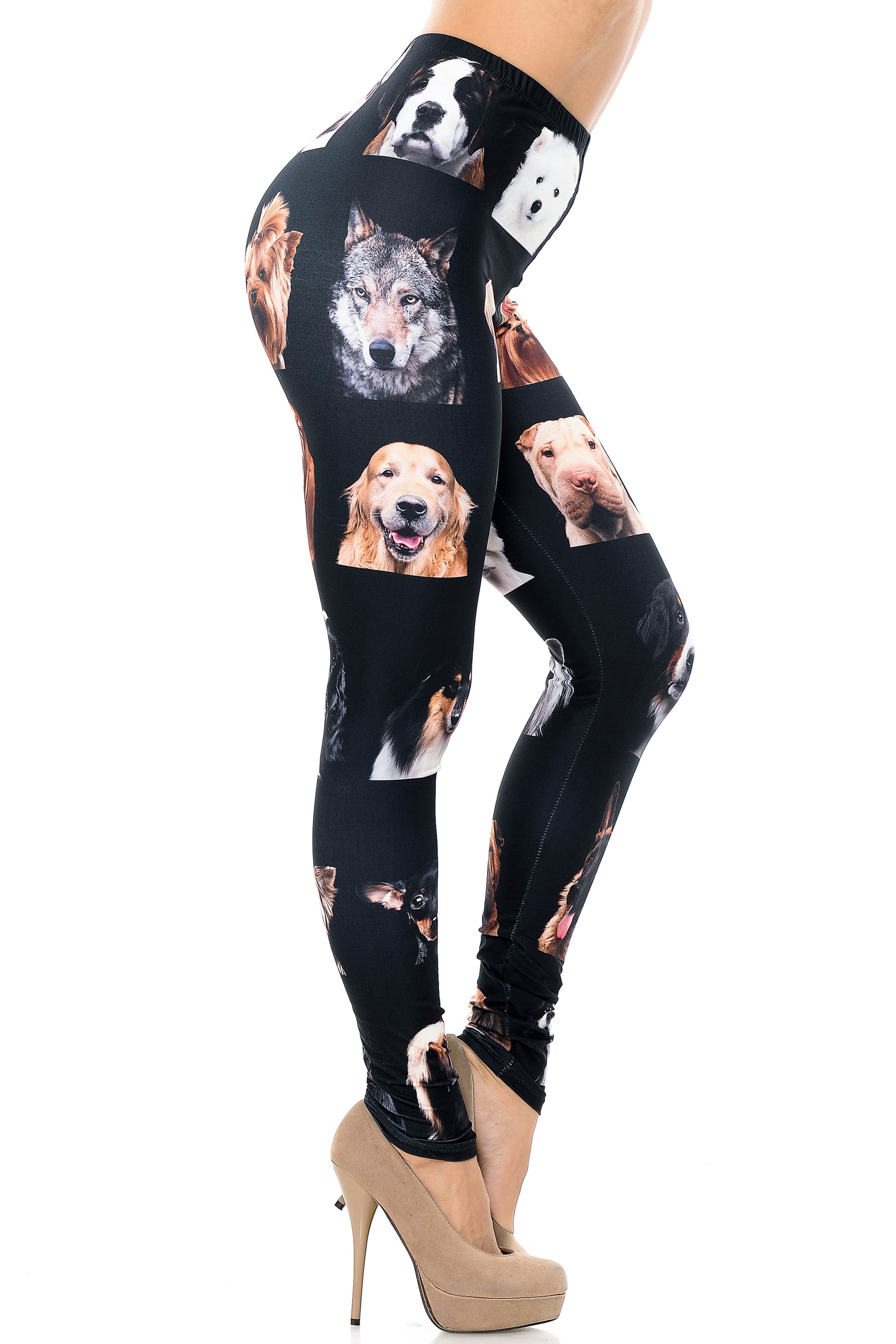 Creamy Soft Cute Puppy Dog Faces Extra Plus Size Leggings - 3X-5X - Version 2 - USA Fashion (XPlus One Size,Black)